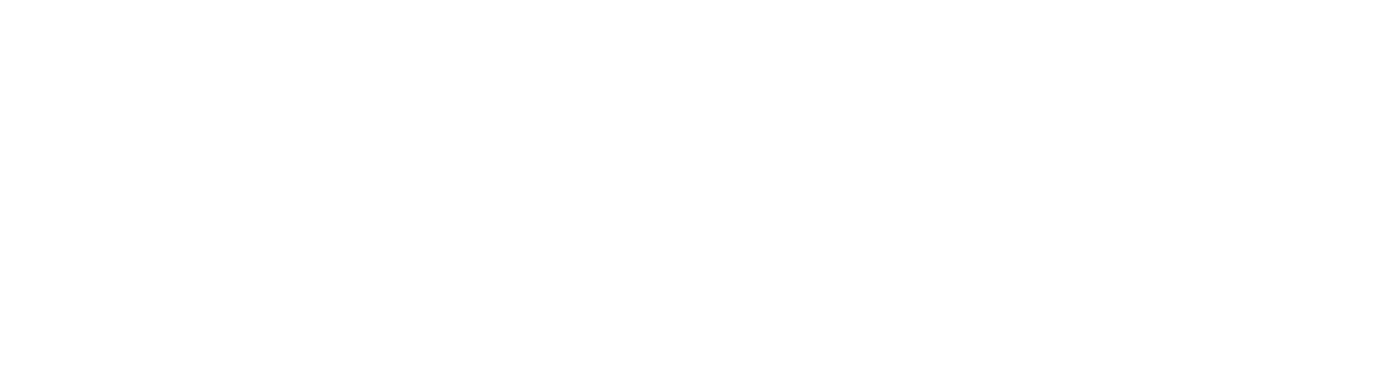 Acer Projektör Tamiri